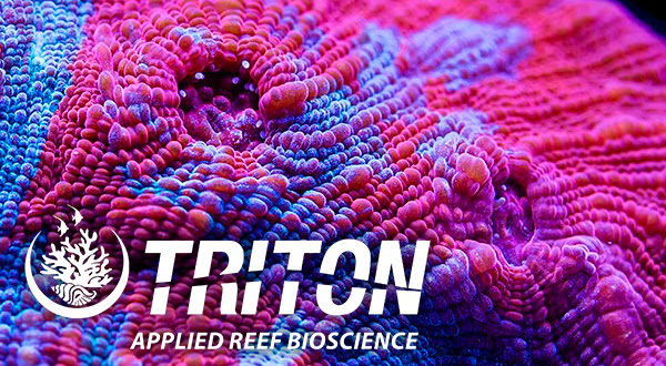 Triton annuncia lo stop del proprio test N-Doc