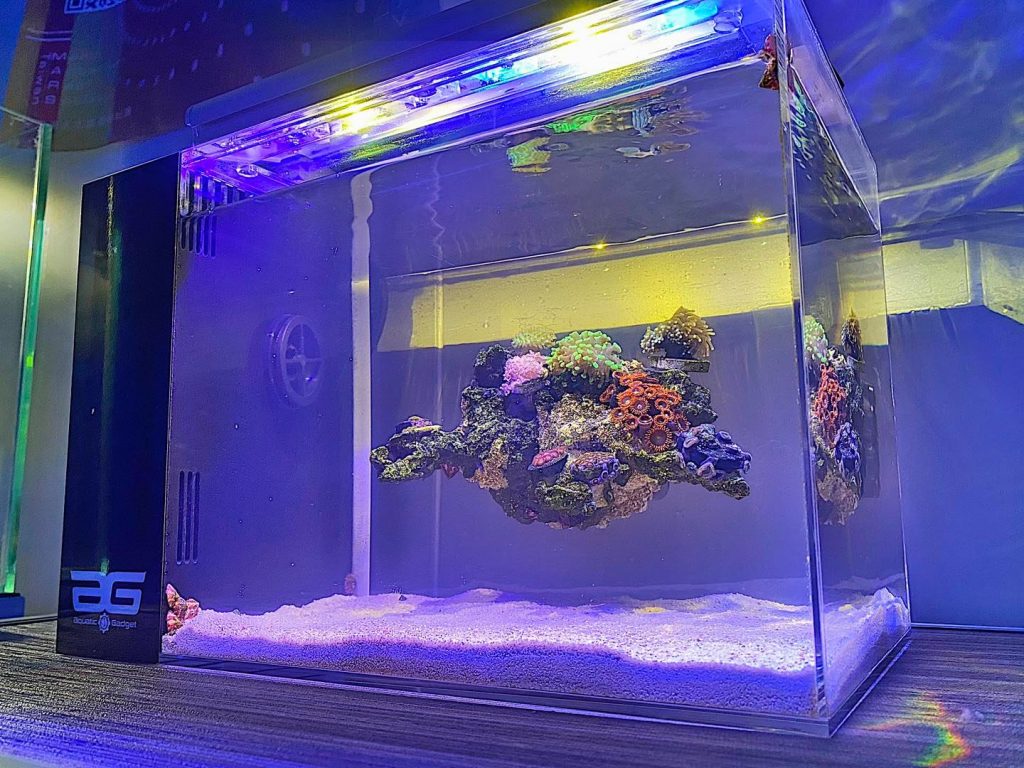 Volete una rocciata sospesa in acquario, da oggi si può!