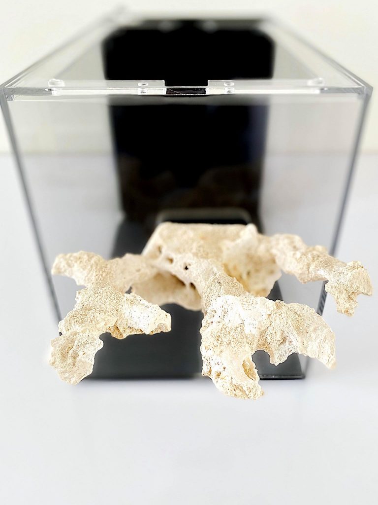 Volete una rocciata sospesa in acquario, da oggi si può!
