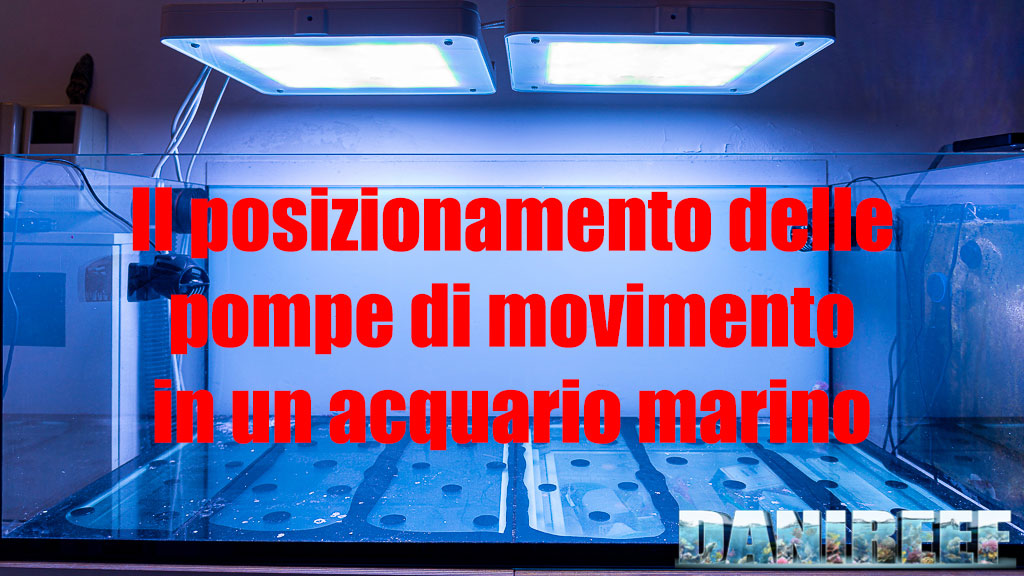 Come posizionare le pompe di movimento in acquario marino – guida