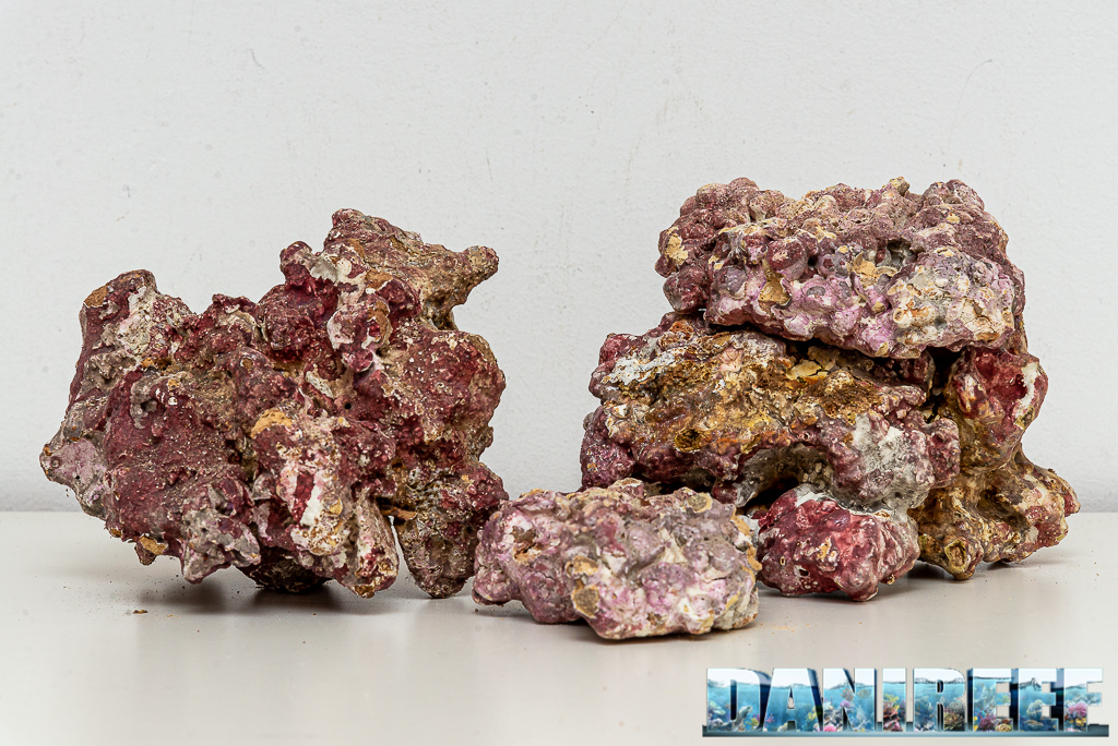 Light Sea Rock - Iniziamo oggi uno Speciale sulle Rocce sintetiche