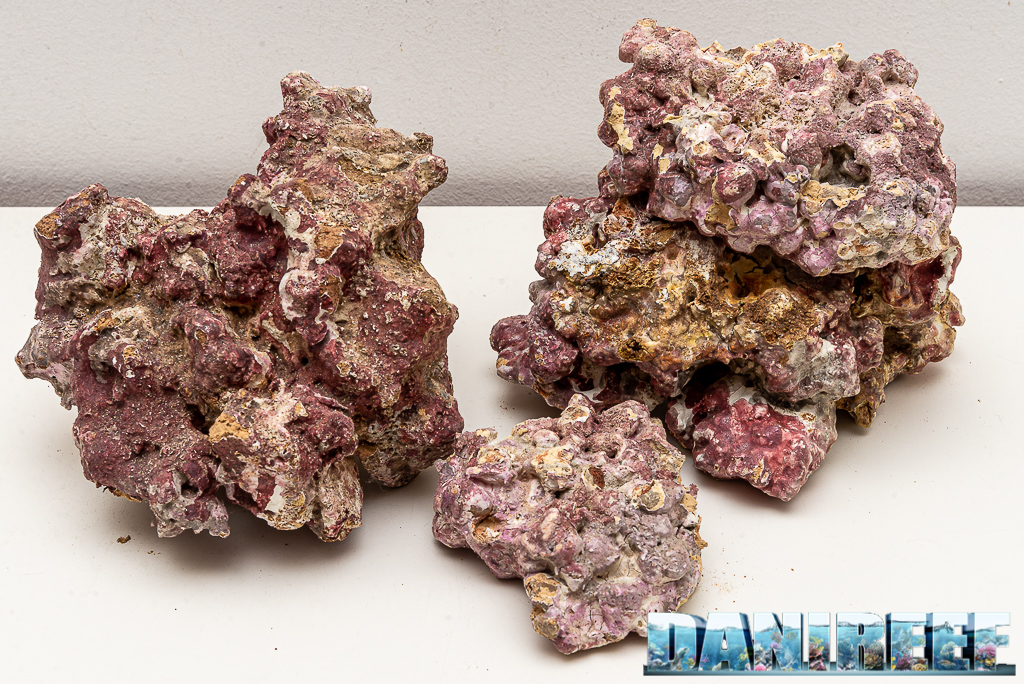 Rocce sintetiche Light Sea Rock