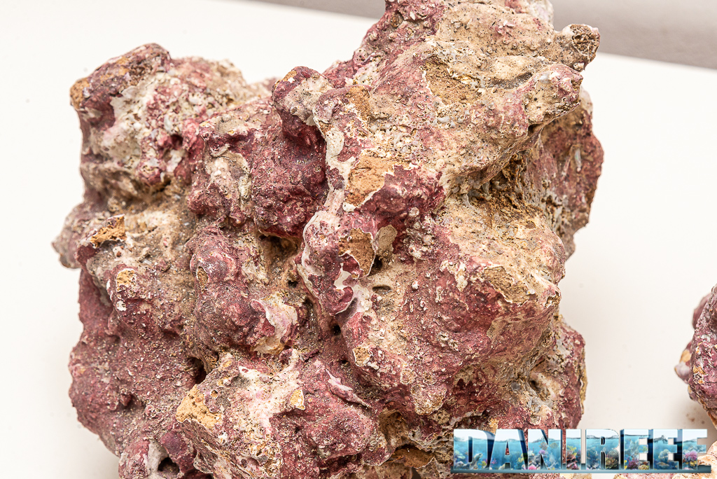 Light Sea Rock - Iniziamo oggi uno Speciale sulle Rocce sintetiche