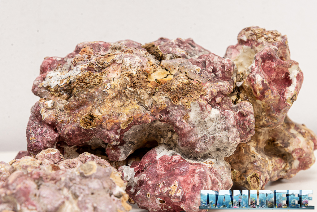 Light Sea Rock - Iniziamo oggi uno Speciale sulle Rocce sintetiche