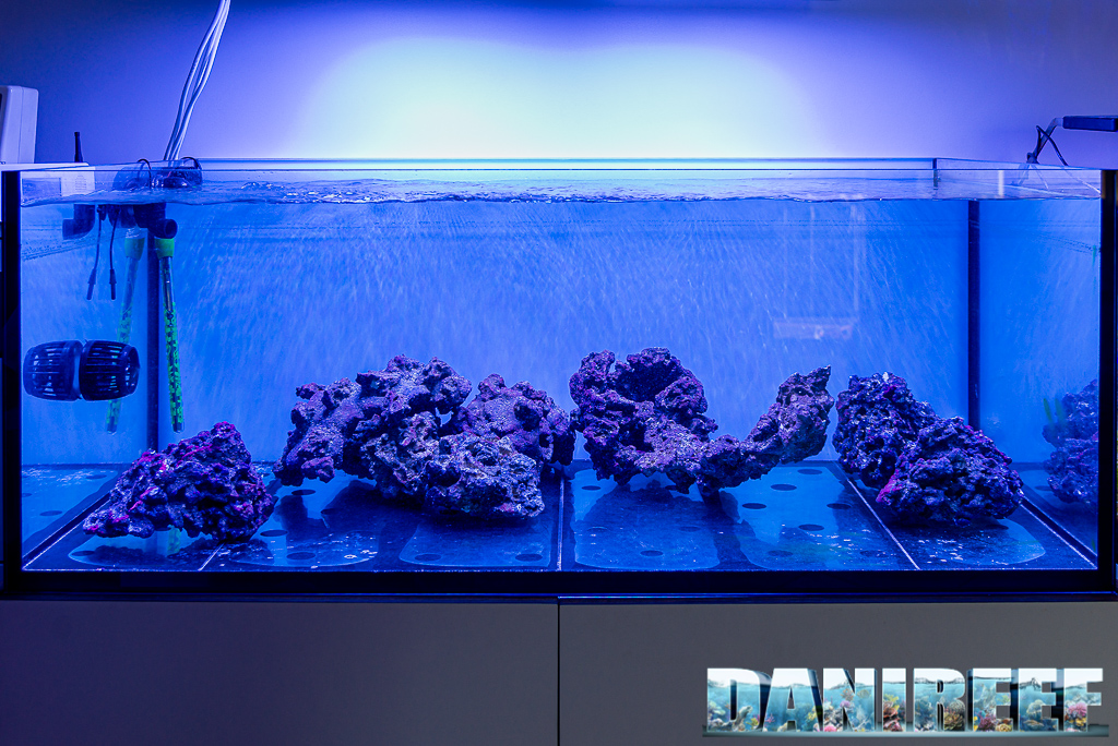 L'acquario ancora vuoto in cui verranno utilizzati i prodotti PlanctonTech Green Power SpiruleXPUR e Rotammin come Protocollo di arricchimento per le rocce sintetiche