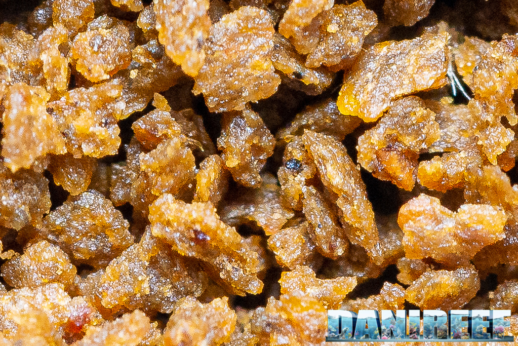 Elos SVM: il mangime granulare perfetto per i pesci - macro del mangime