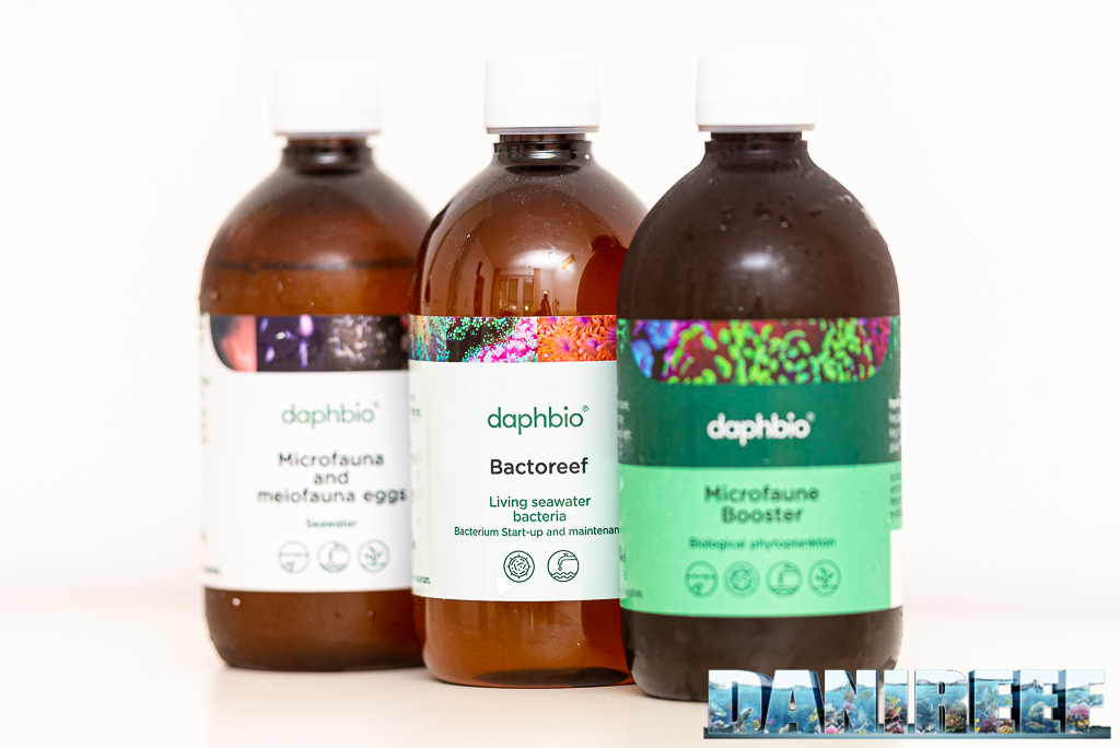 Acquariofilia Controversa e innovativa tra esperti di vecchia scuola.
