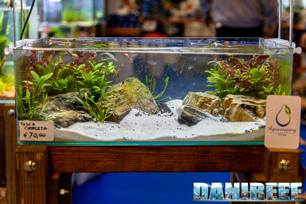 8 bellissimi acquari allestiti da Aquascaping Store al PetsFestival 2021