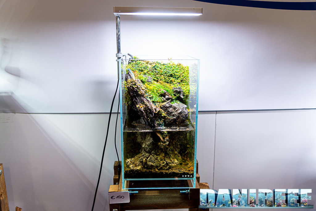 8 bellissimi acquari allestiti da Aquascaping Store al PetsFestival 2021