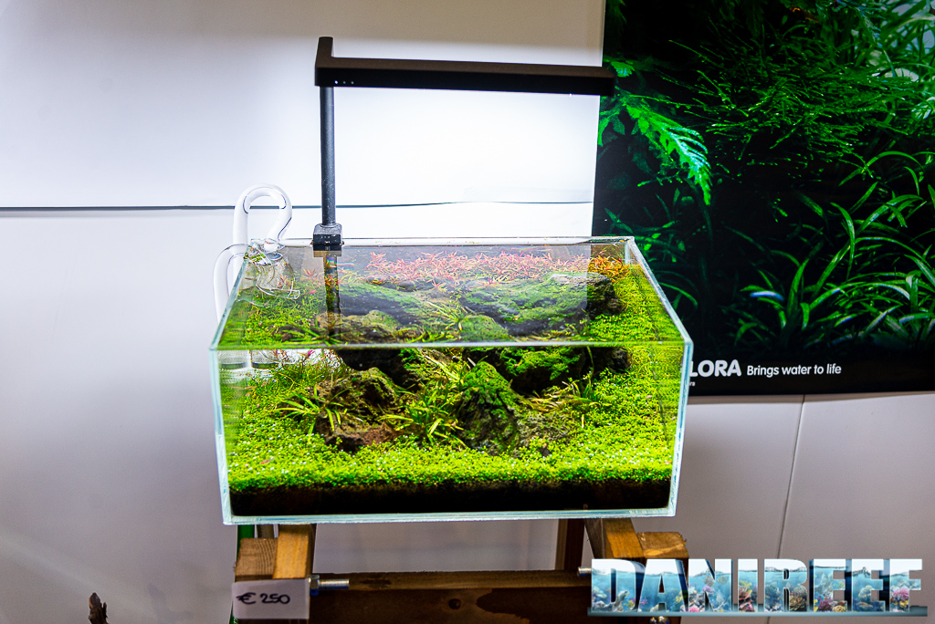 8 bellissimi acquari allestiti da Aquascaping Store al PetsFestival 2021