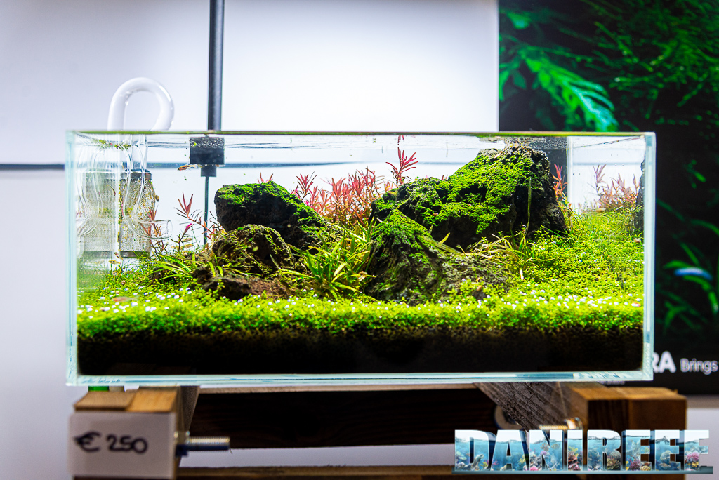 8 bellissimi acquari allestiti da Aquascaping Store al PetsFestival 2021