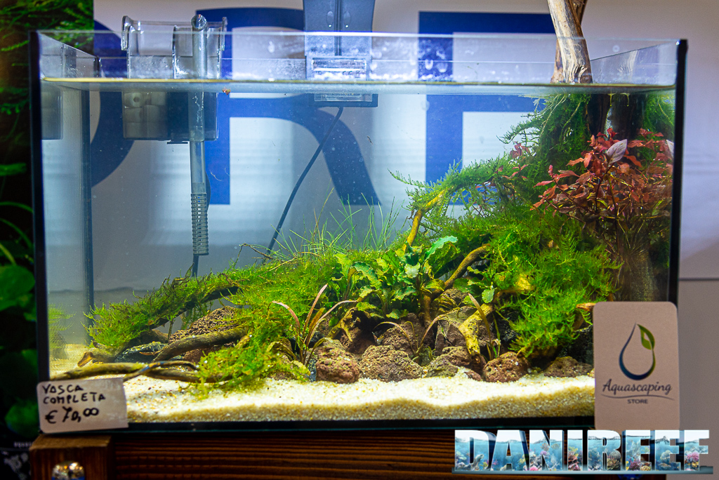 8 bellissimi acquari allestiti da Aquascaping Store al PetsFestival 2021