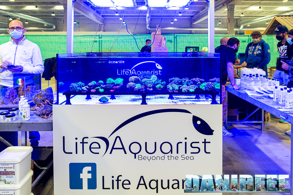 Tutti i coralli che abbiamo visto al PetsFestival 2021 - LifeAquarist