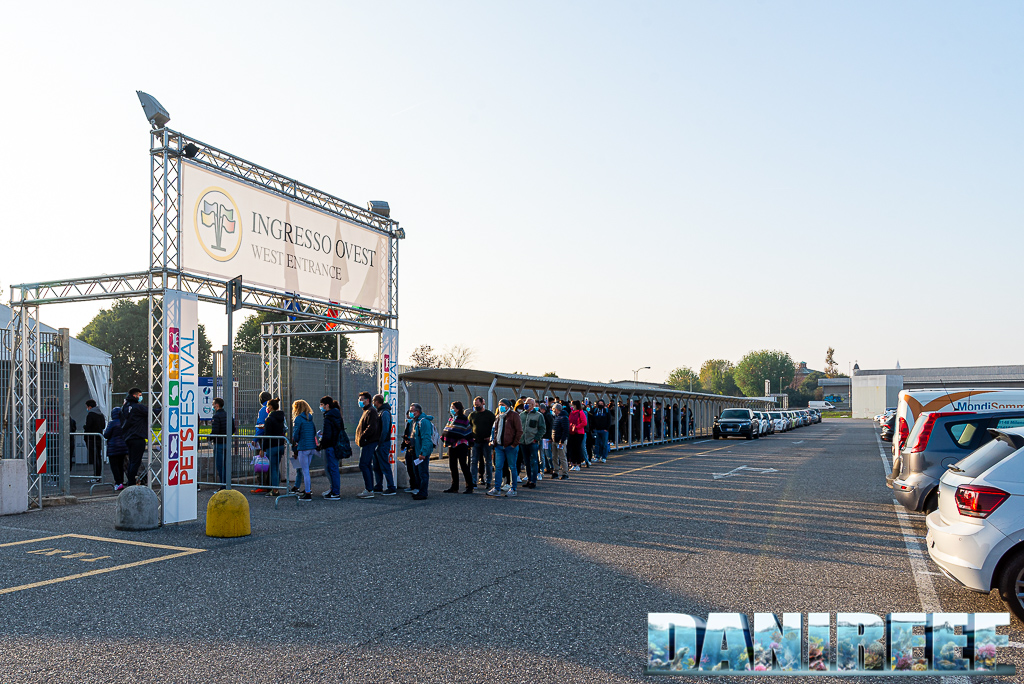 PetsFestival 2021 a CremonaFiere: Editoriale con video