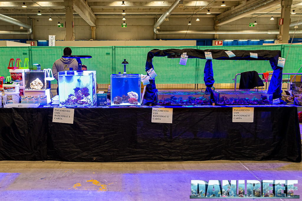 Tutti i coralli che abbiamo visto al PetsFestival 2021 - Geomarine