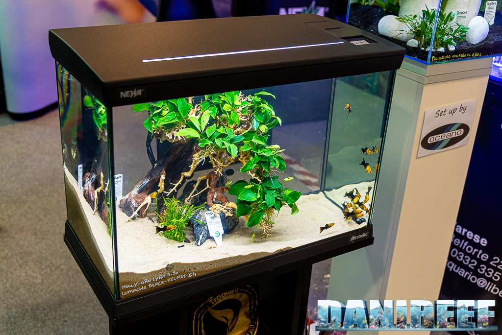 Il nuovo acquario Newa Mirabello