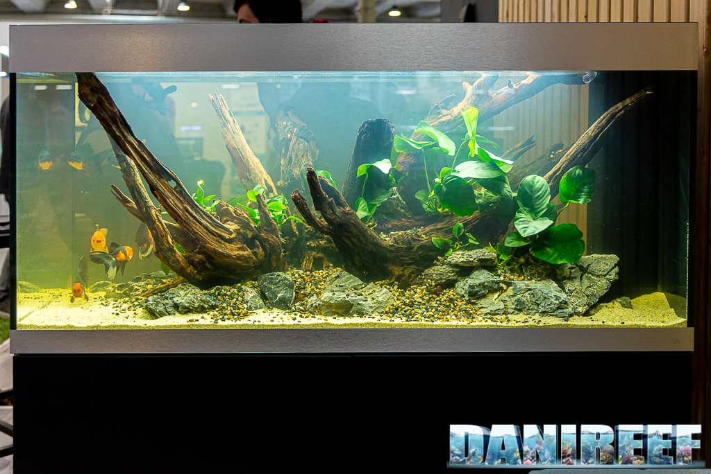 Goldfish Experience Petsfestival 2021 - Reportage video e fotografico - stand Oase