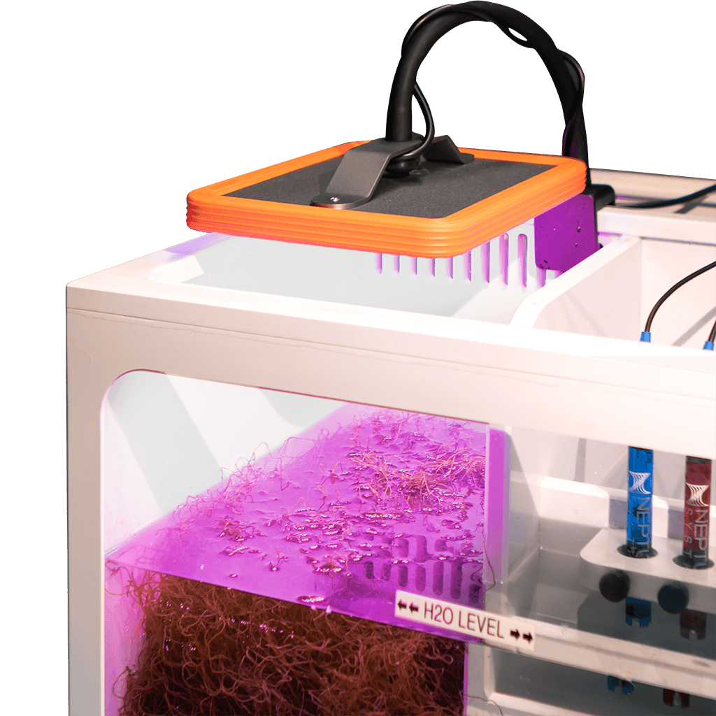 Gro macroalgae light - plafoniera per macroalghe di Neptune Systems