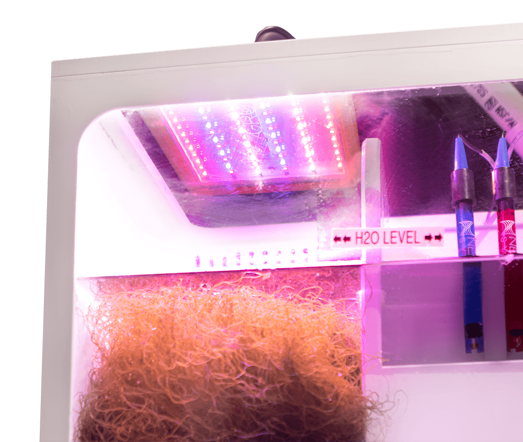 Gro macroalgae light - plafoniera per macroalghe di Neptune Systems