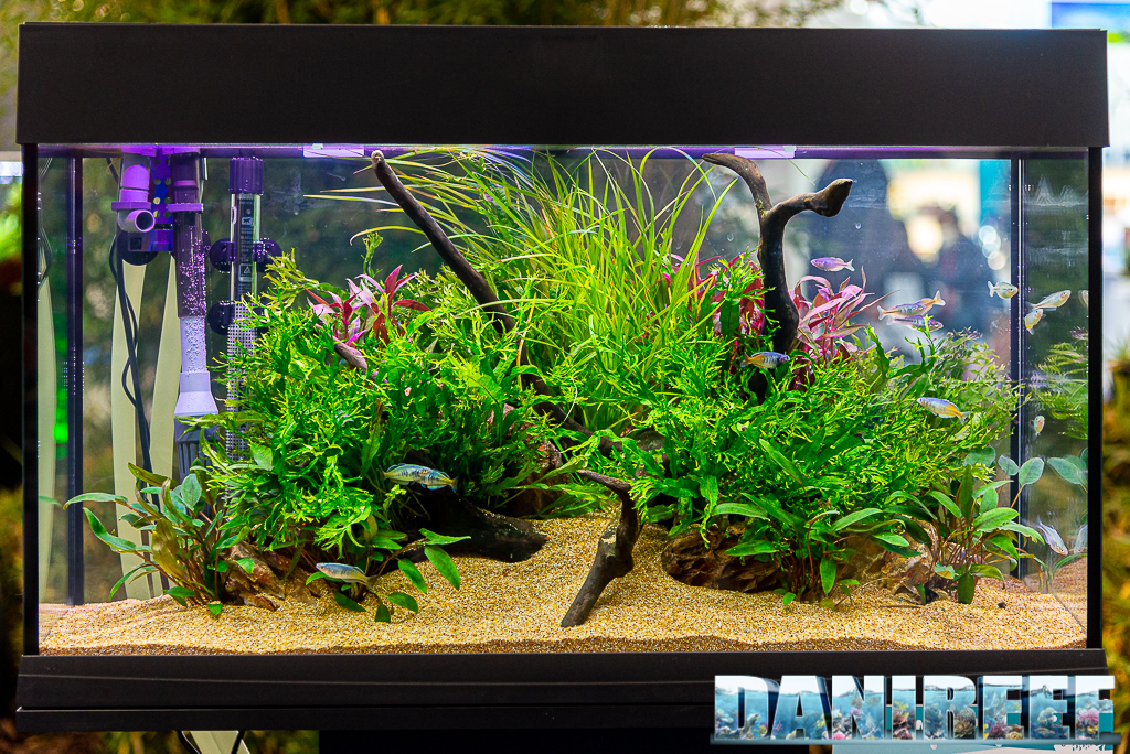 Aqua Project 2021 allo Zoomark: aquascaping, acquario di acqua dolce, acquario di comunità