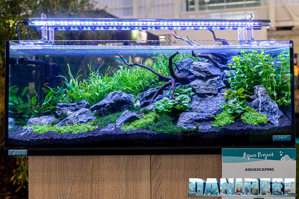 Aqua Project 2021 allo Zoomark: aquascaping, acquario di acqua dolce, acquario di comunità