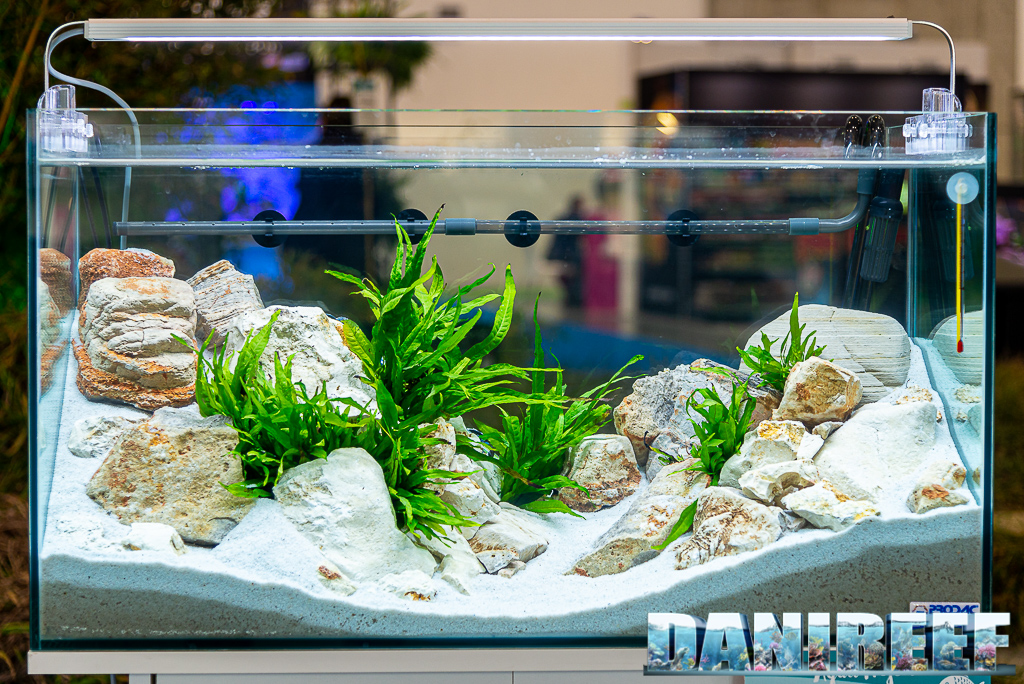 Aqua Project 2021 allo Zoomark: aquascaping, acquario di acqua dolce, acquario di comunità