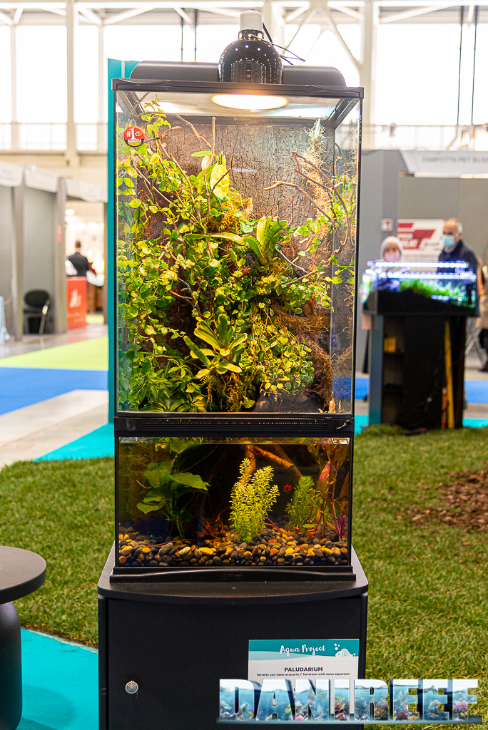 Aqua Project 2021 allo Zoomark: aquascaping, acquario di acqua dolce, acquario di comunità: il paludarium