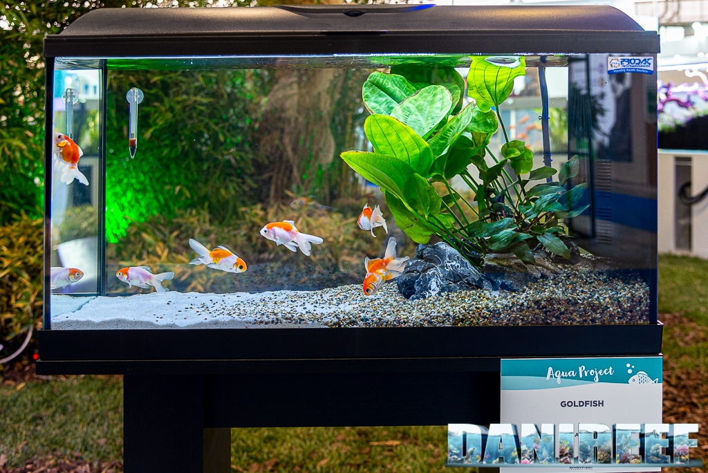 Aqua Project 2021 allo Zoomark: aquascaping, acquario di acqua dolce, acquario di comunità
