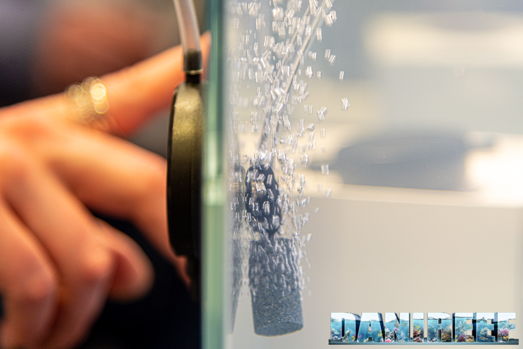 AquaLighter/Collar ripropone i suoi cavalli di battaglia a Zoomark 2021: aPump