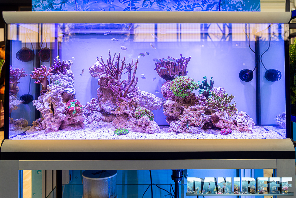 Acquario marino allestito allo stand Ferplast con componenti Ferplast Hydor ed Aqamai