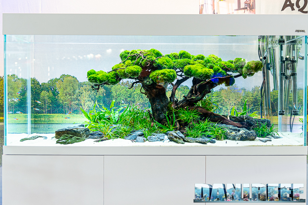 Acquascape straordinari nello stand AquaEl a Zoomark 2021 - acquario Opti Set con Aquascape simile ad un albero
