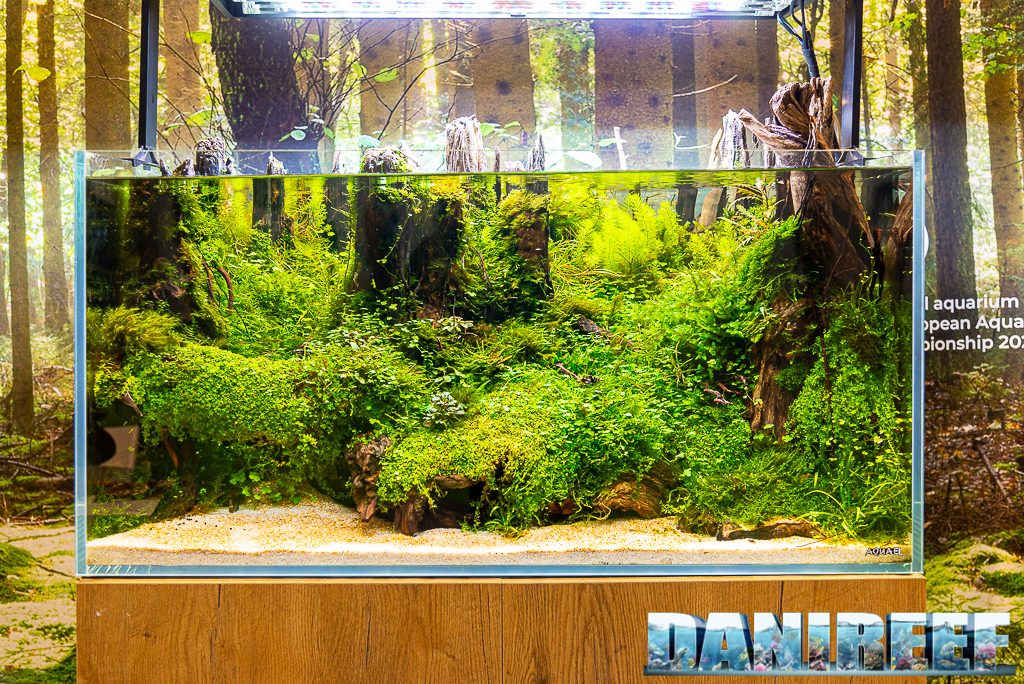 Acquascape straordinari nello stand AquaEl a Zoomark 2021 - acquario opti set serie natura - serie ultrascape