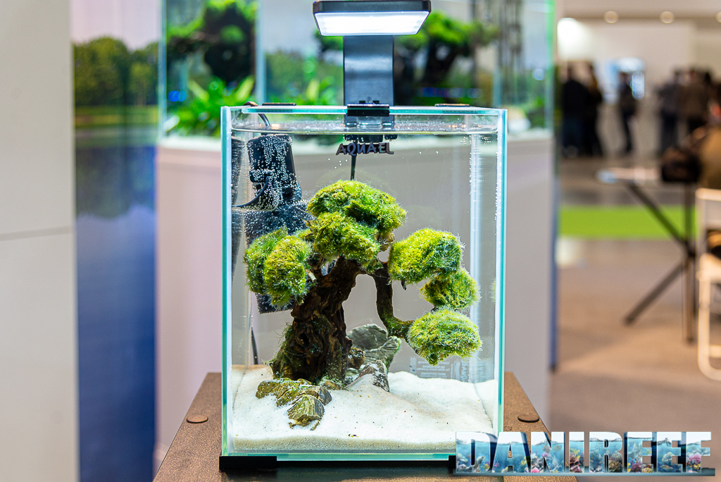 Acquascape straordinari nello stand AquaEl a Zoomark 2021 - aquascape di piccole dimensioni