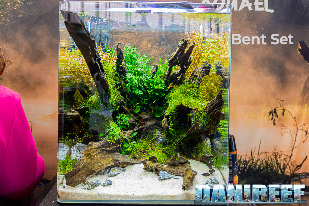 Acquascape straordinari nello stand AquaEl a Zoomark 2021 - miniacquario allestito con bordi arrotondati