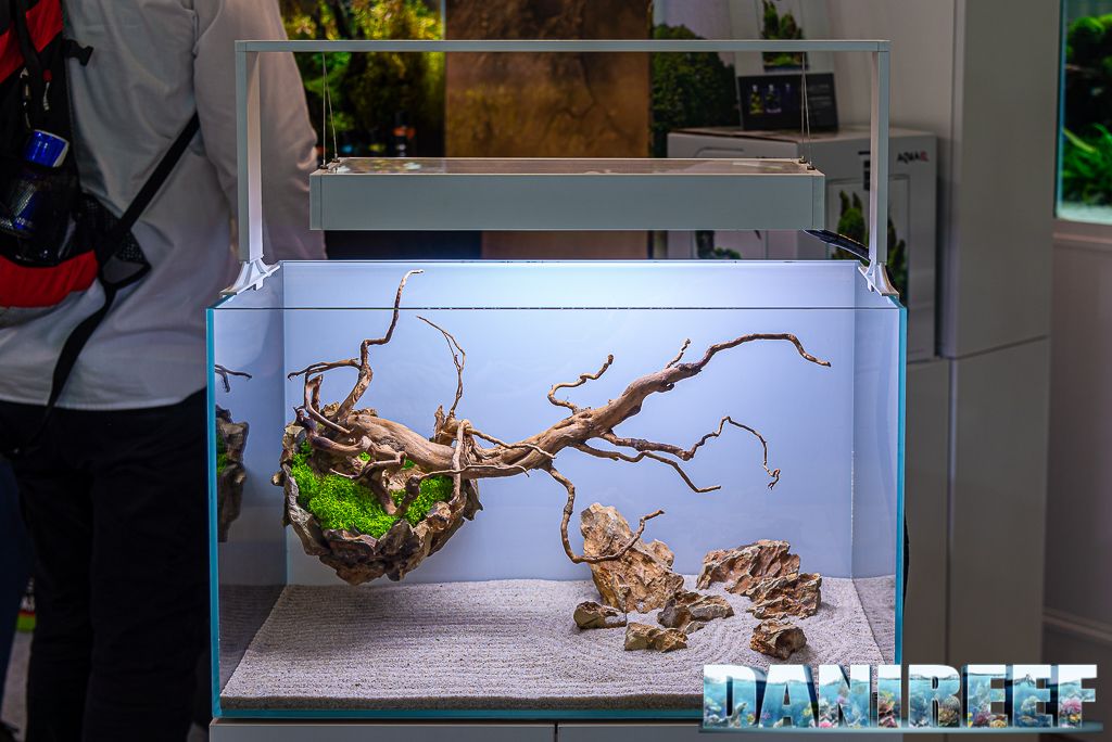 Acquascape straordinari nello stand AquaEl a Zoomark 2021 - Opti Set piccolo e proposto con un hardscape alternativo