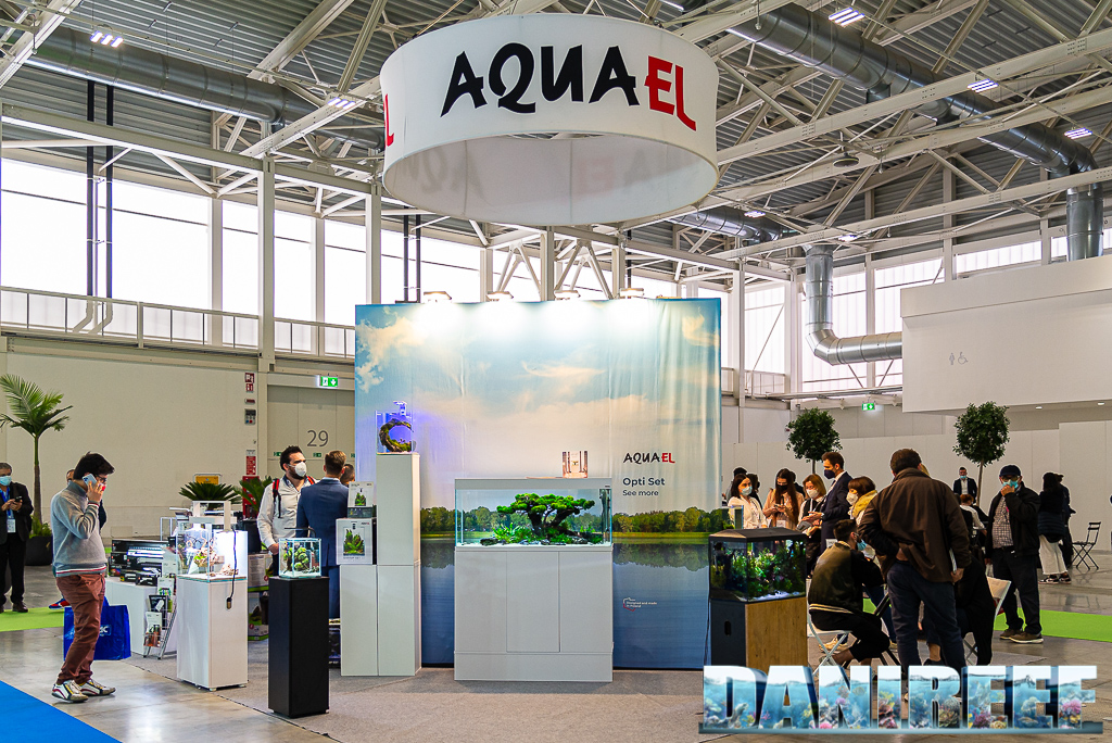 Acquascape straordinari nello stand AquaEl a Zoomark 2021 - foto e video