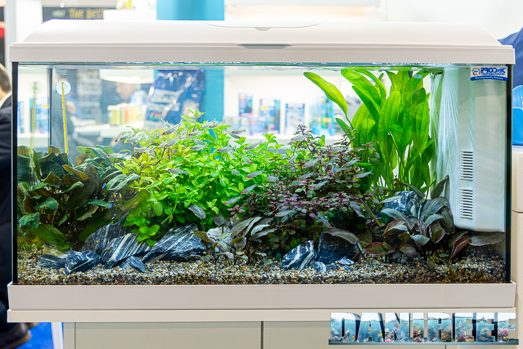 Il bellissimo acquario Prodac in mostra allo Zoomark 2021