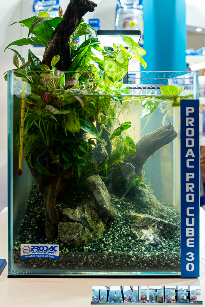Il Prodac Pro Cube 30 allo Zoomark 2021