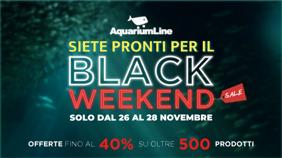 Black Friday 2021 e acquario: Scoprite tutte le offerte nei negozi fisici e online