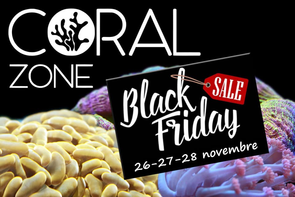 Black Friday 2021 e acquario: Scoprite tutte le offerte nei negozi fisici e online