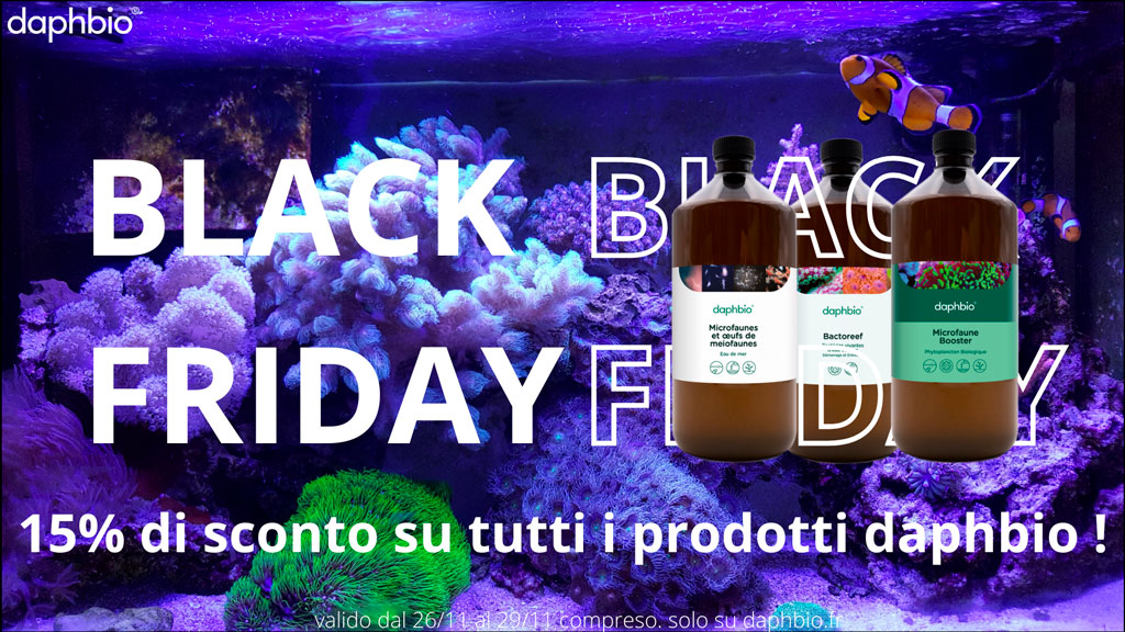Black Friday 2021 e acquario: Scoprite tutte le offerte nei negozi fisici e online - daphbio