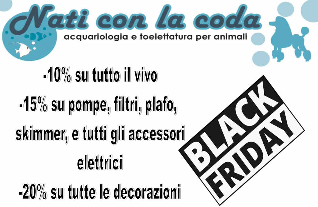 Nati con la Coda Black Friday 2021