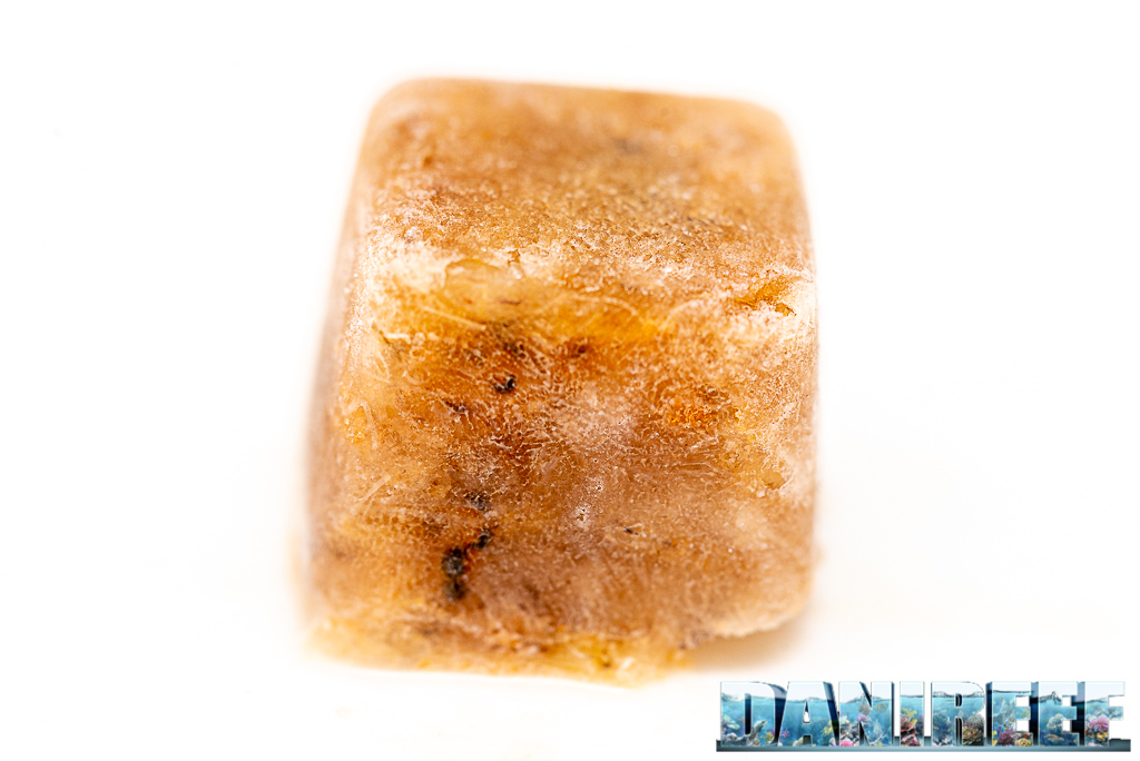 Cubetto congelato di Mysis