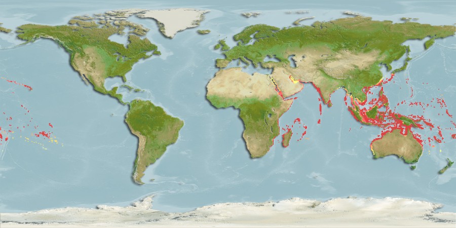 Distribuzione Pseudocheilinus hexatenia thanks to fishbase.org