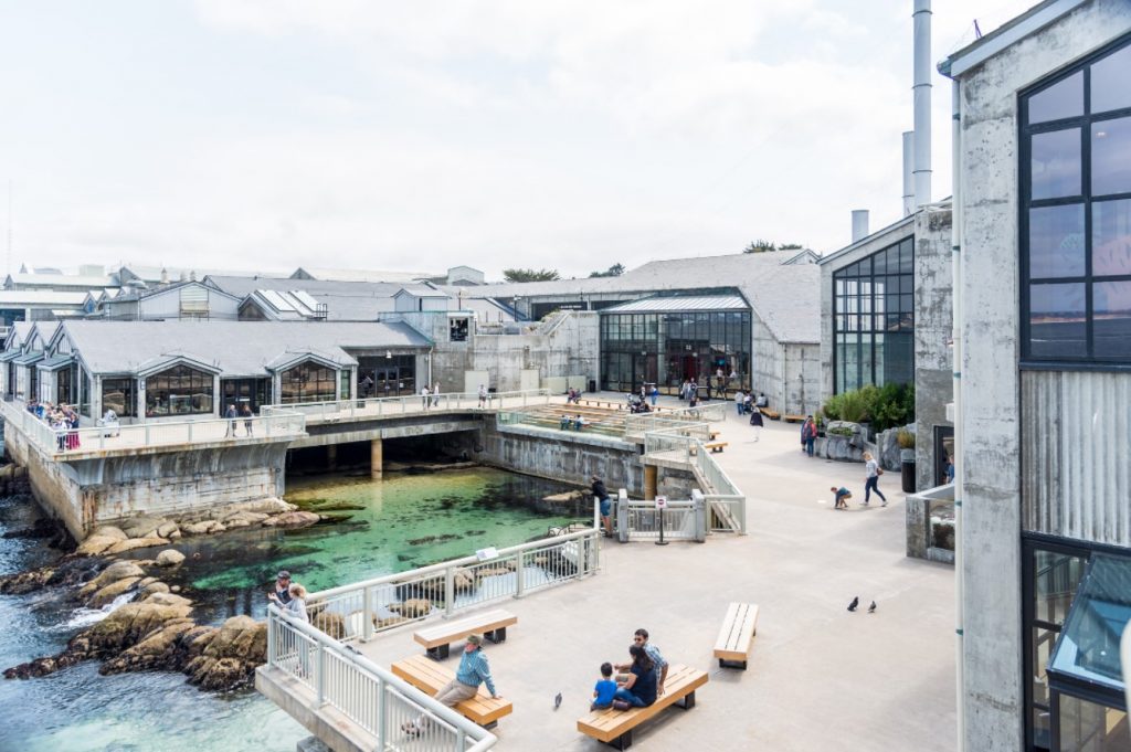 Monterey Bay Aquarium