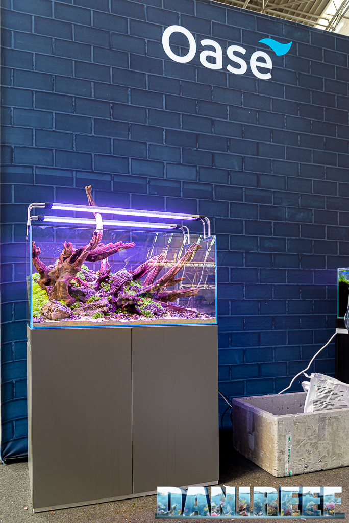 BiOrb ed Aquascaping con Gloria e Samuele allo stand Oase ad AquaExpo