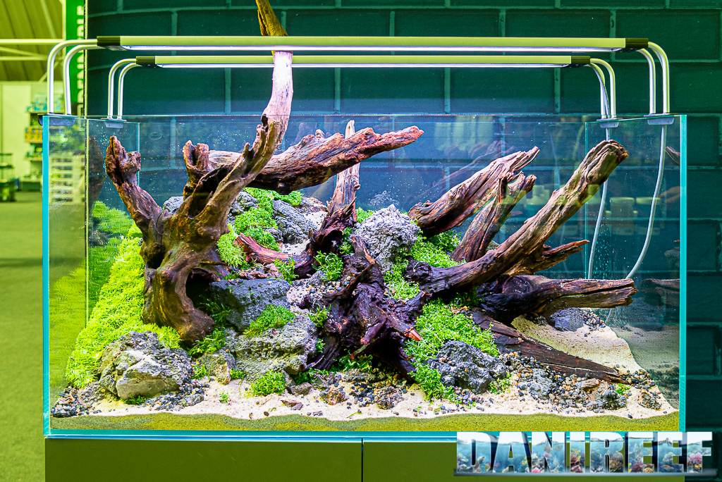 BiOrb ed Aquascaping con Gloria e Samuele allo stand Oase ad AquaExpo