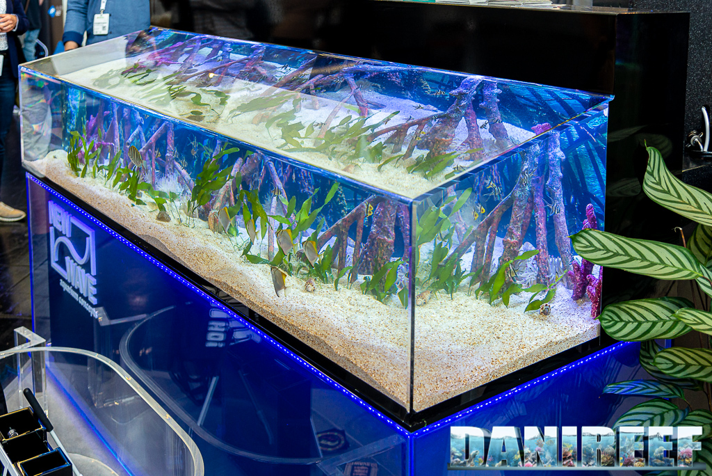 Un acquario marino chiuso molto particolare presso lo stand Abyzz a Interzoo 2022