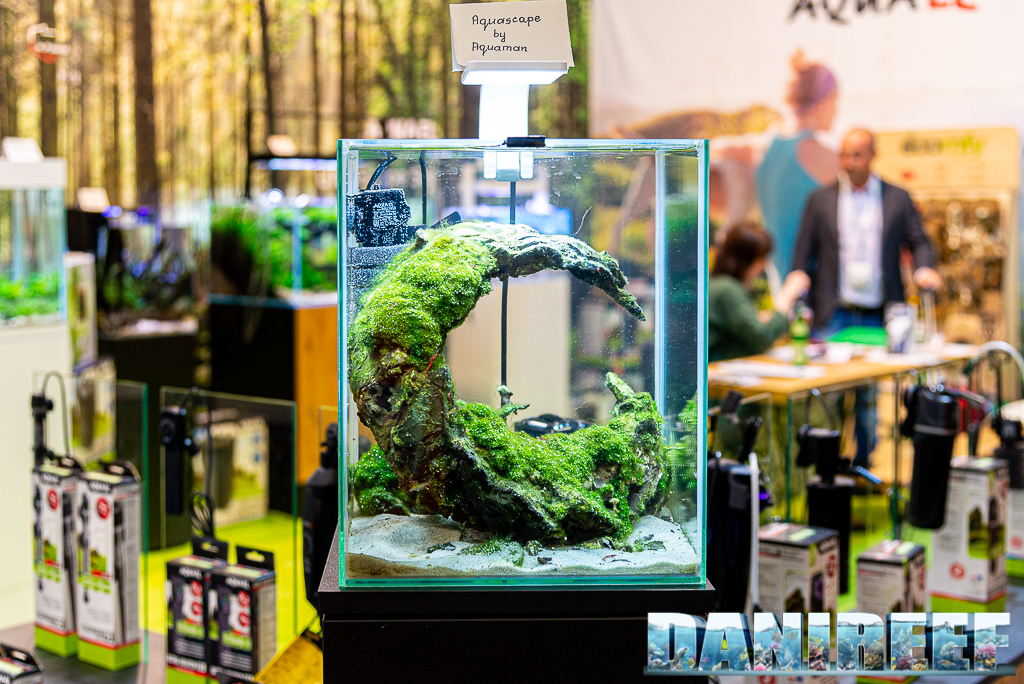 Aquascape di Aquaman allo stand AquaEl Interzoo 2022