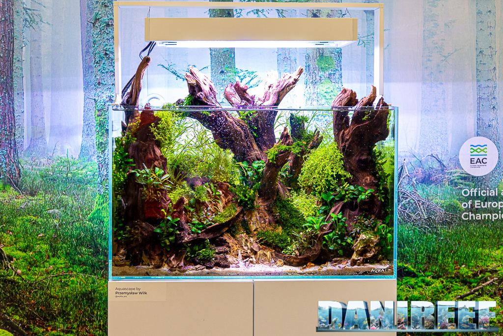 Aquascape di Przemek Wilk allo stand AquaEl Interzoo 2022